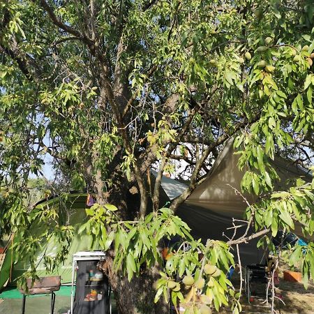S&M Camping سفيتي فيليب ياكوف المظهر الخارجي الصورة