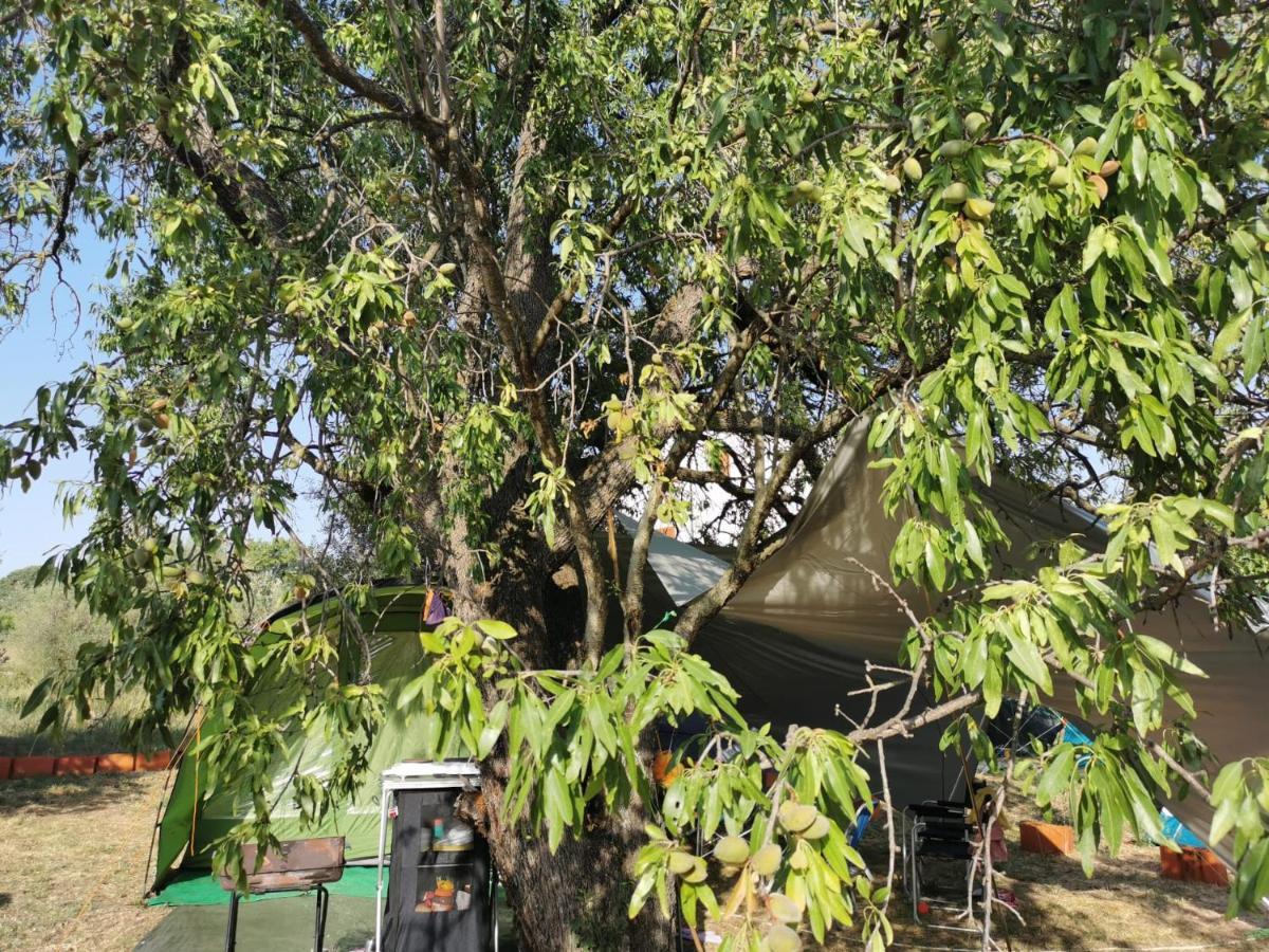S&M Camping سفيتي فيليب ياكوف المظهر الخارجي الصورة